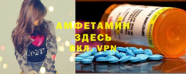 прущие грибы Михайлов