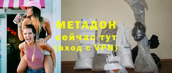 прущие грибы Михайлов