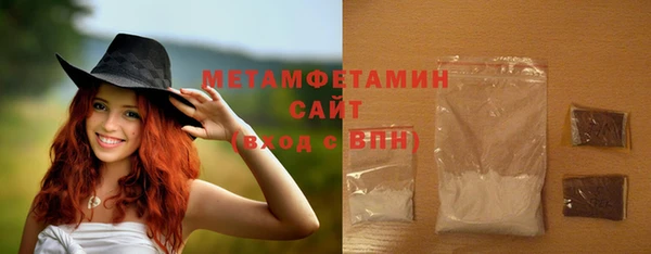 прущие грибы Михайлов