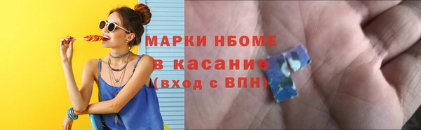 прущие грибы Михайлов
