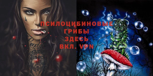 прущие грибы Михайлов