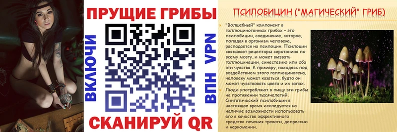 Галлюциногенные грибы MAGIC MUSHROOMS  площадка Telegram  Кимры 