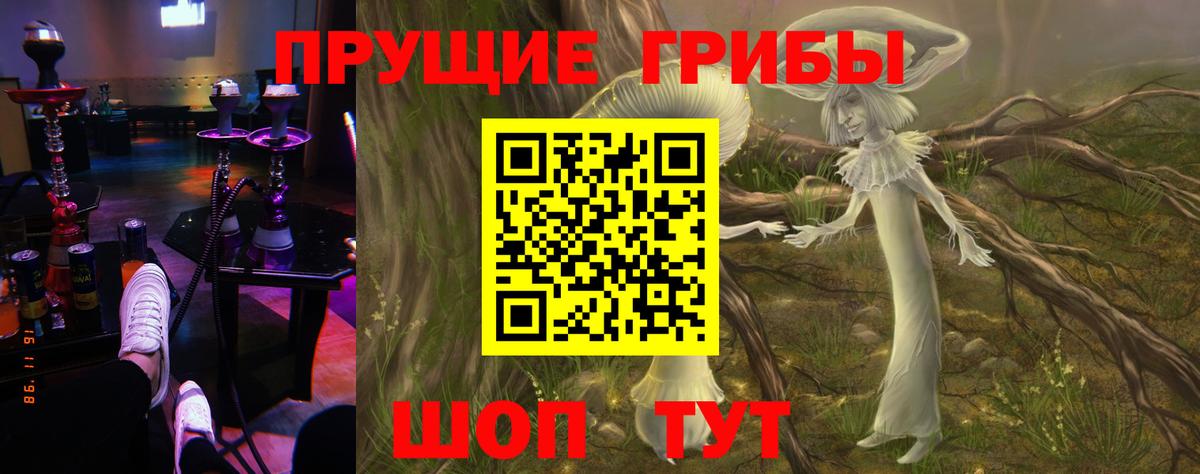 цена   Вход с VPN  Кимры  Псилоцибиновые грибы мицелий 